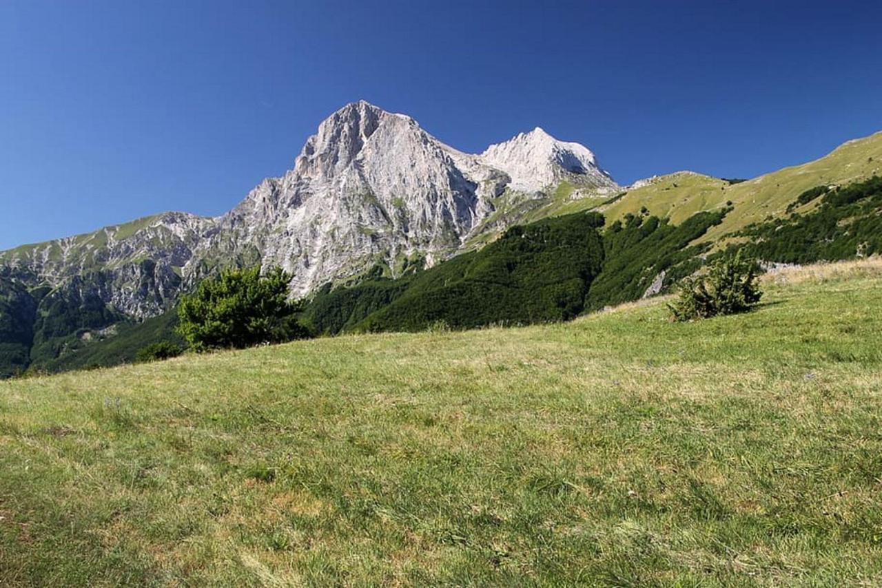 Complesso Turistico Aurora - Camere B&B Poggio Picenze ภายนอก รูปภาพ